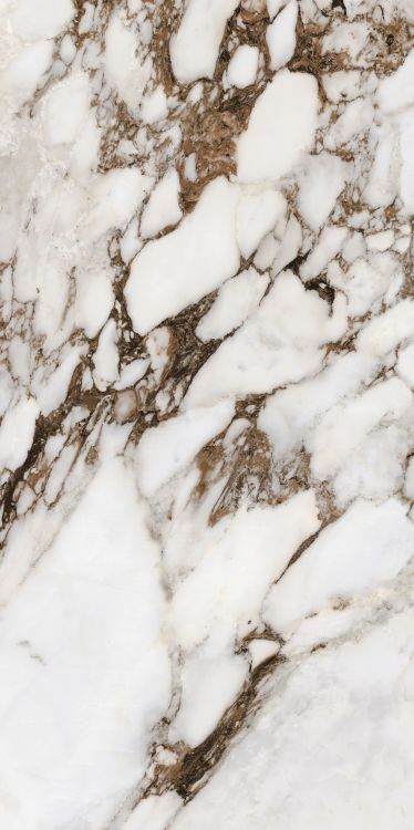 Bijoux Breche Capraia Glossy 24 x 48