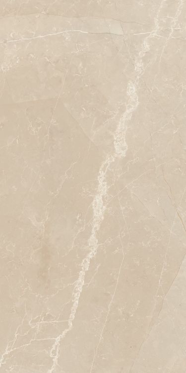 Trilogy Moon Beige Soft 12 x 24