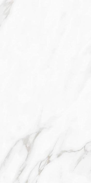 Carenza Bianca Polished 12 x 24