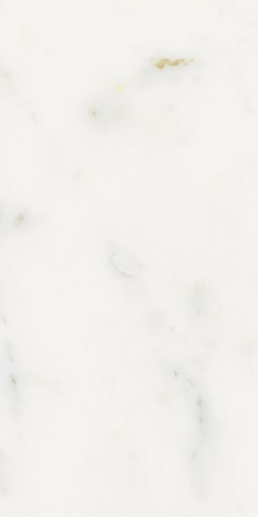 Origines Or Matte 12 x 24