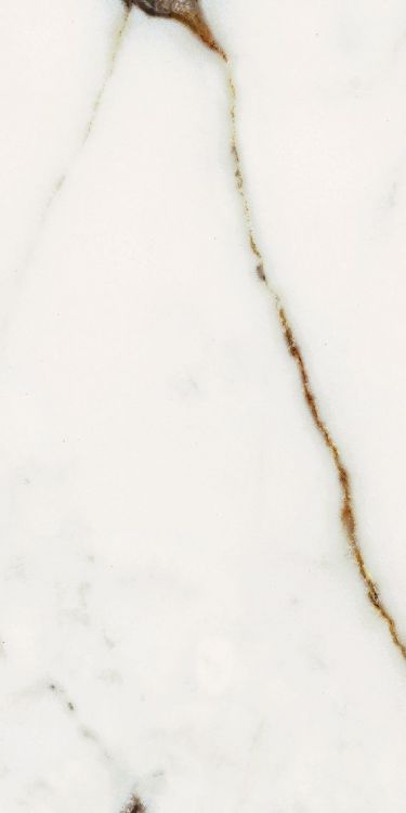 Origines Or Matte 12 x 24