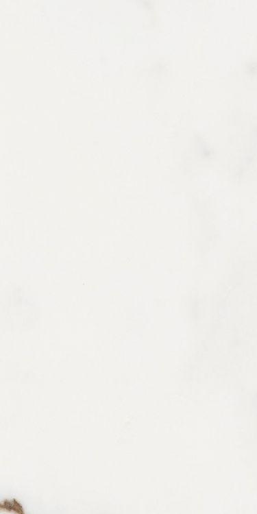 Origines Or Matte 12 x 24