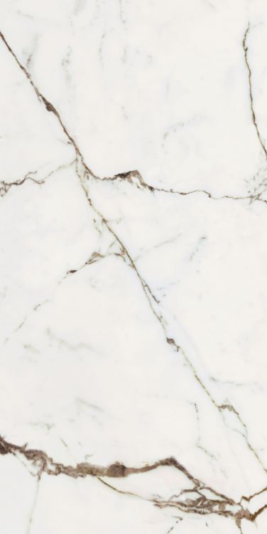 Origines Or Glossy 24 x 48