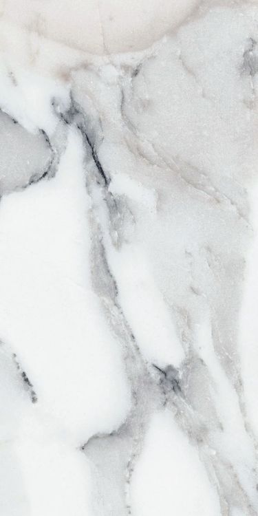 Origines Argent Matte 12 x 24
