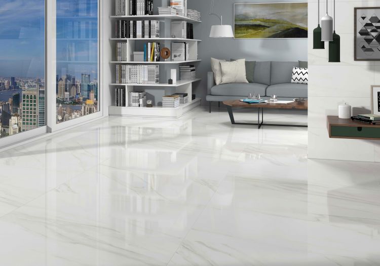 EC Calacatta Gold Polished 24 x 24