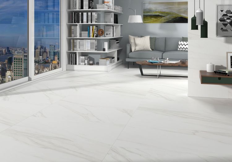 EC Calacatta Gold Matte 24 x 24