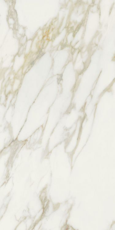Etoile Creme Glossy 24 x 48