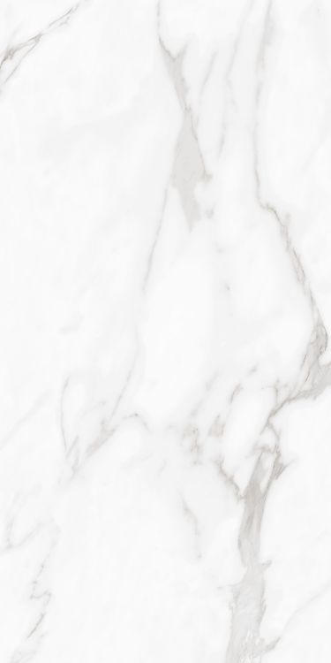 Carenza Bianca Matte 24 x 48