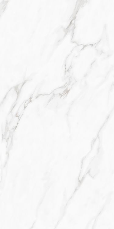 Carenza Bianca Matte 24 x 48