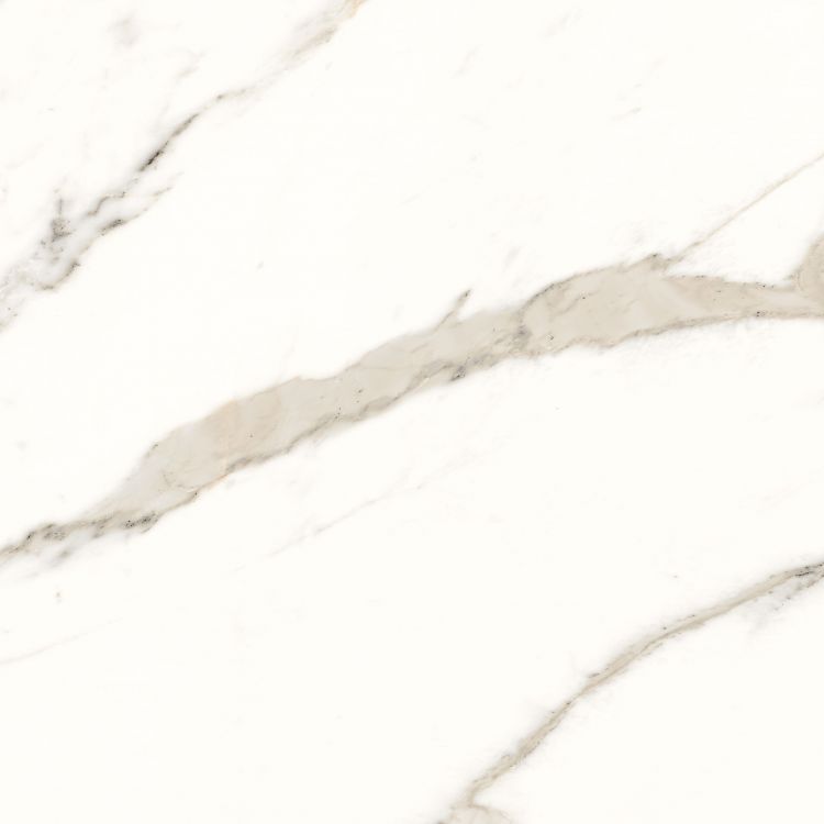 Trilogy Calacatta White Lux 24 x 24