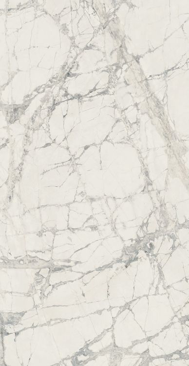Prexious Mountain Treasure Matte 24 x 48