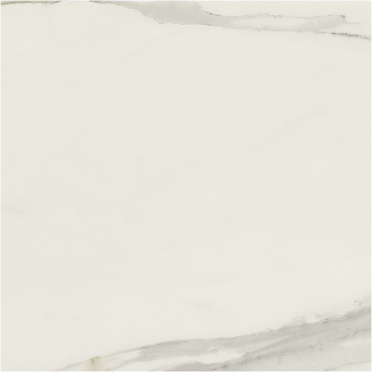 Classici Calacatta Gold Glossy 48 x 48