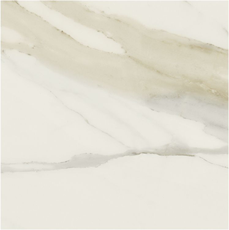 Classici Calacatta Gold Matte 48 x 48 Classici Calacatta Gold Matte 48 x 48