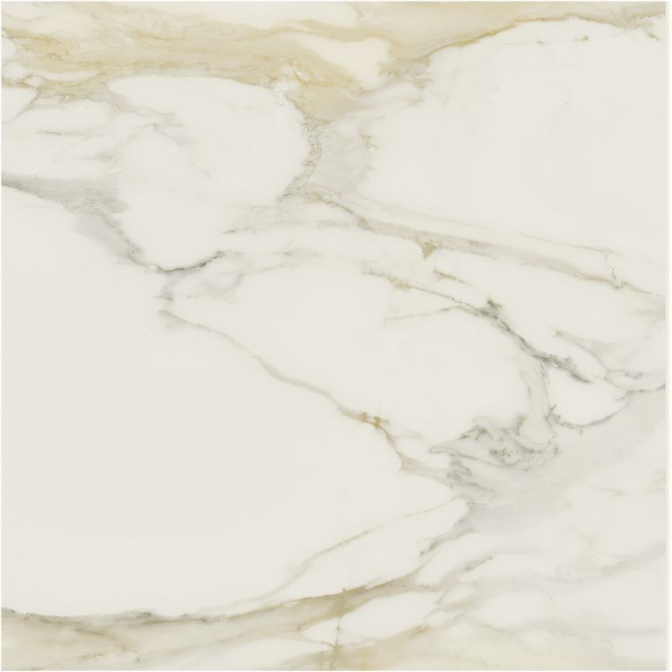 Classici Calacatta Gold Matte 48 x 48