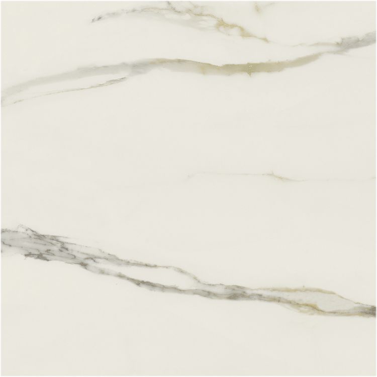 Classici Calacatta Gold Matte 48 x 48
