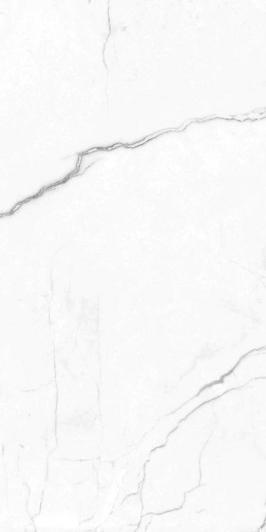EC Elegance White Polished 12 x 24