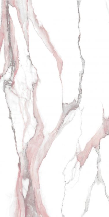 Calacatta Fantasy Pink Polished 24 x 48