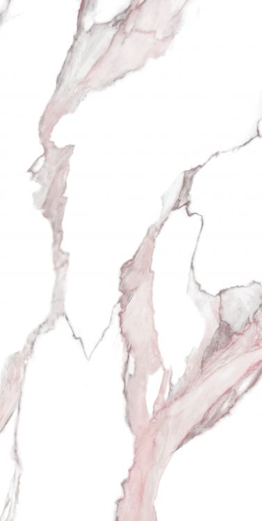Calacatta Fantasy Pink Polished 24 x 48