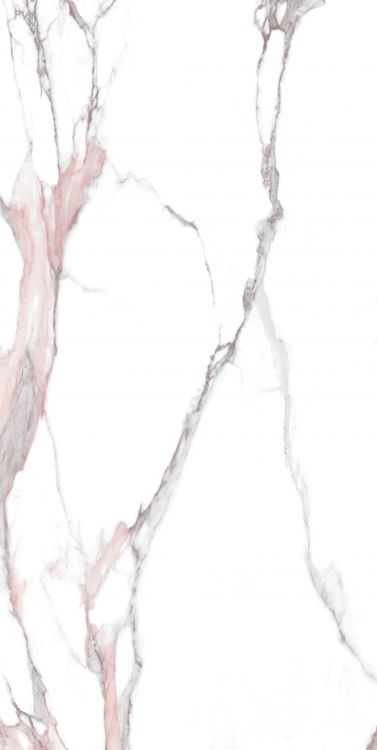 Calacatta Fantasy Pink Polished 24 x 48
