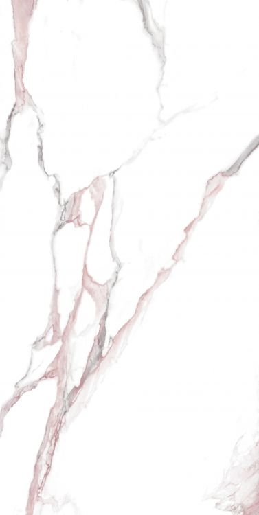 Calacatta Fantasy Pink Polished 24 x 48