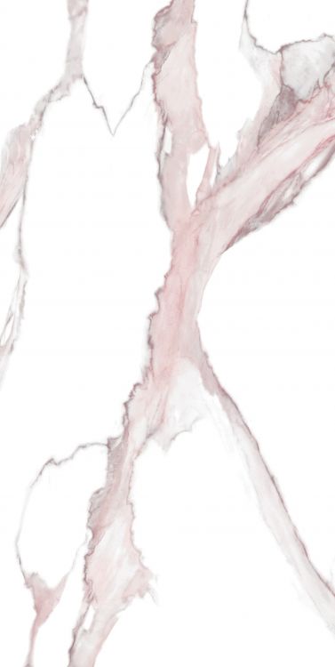 Calacatta Fantasy Pink Polished 24 x 48