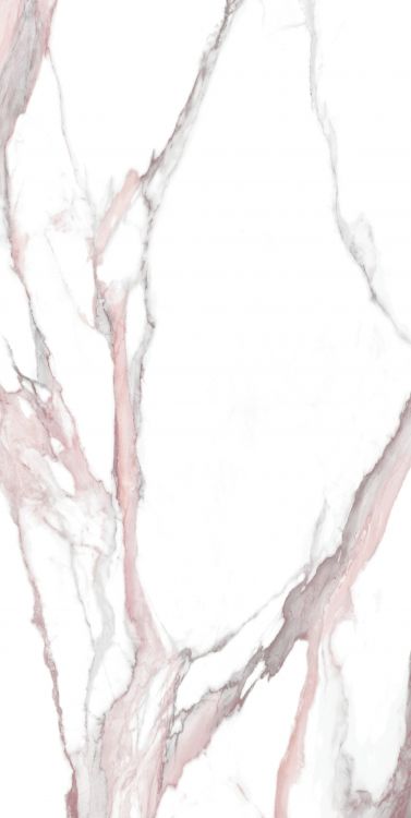 Calacatta Fantasy Pink Polished 24 x 48