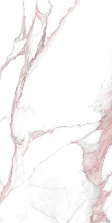 Calacatta Fantasy Pink Polished 24 x 48