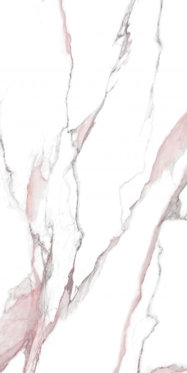 Calacatta Fantasy Pink Polished 24 x 48