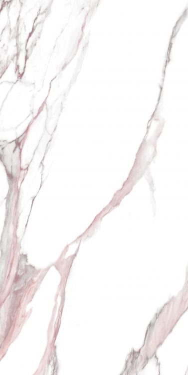 Calacatta Fantasy Pink Polished 24 x 48
