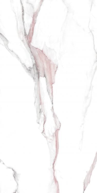 Calacatta Fantasy Pink Polished 24 x 48