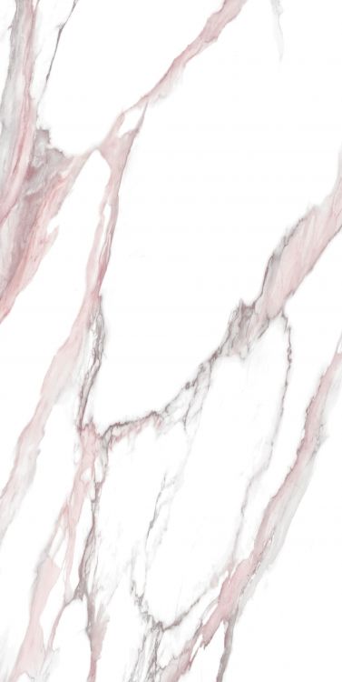 Calacatta Fantasy Pink Polished 24 x 48