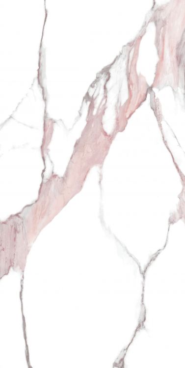Calacatta Fantasy Pink Polished 24 x 48