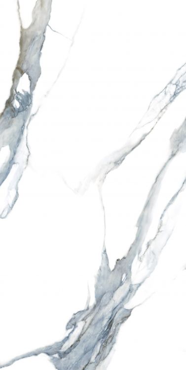 Calacatta Fantasy Acqua Polished 24 x 48