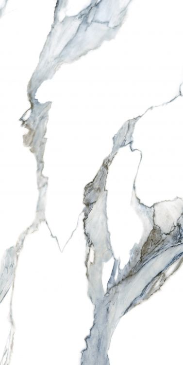 Calacatta Fantasy Acqua Polished 24 x 48
