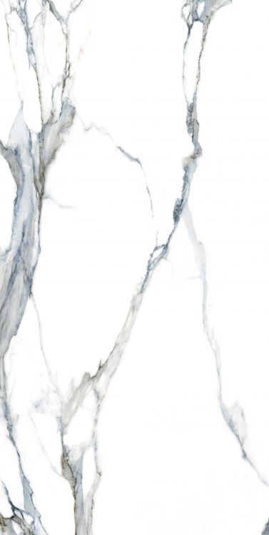 Calacatta Fantasy Acqua Polished 24 x 48