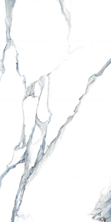 Calacatta Fantasy Acqua Polished 24 x 48