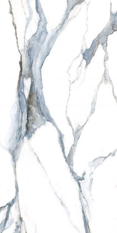 Calacatta Fantasy Acqua Polished 24 x 48