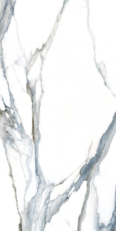 Calacatta Fantasy Acqua Polished 24 x 48