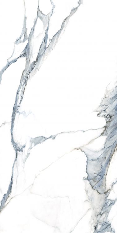 Calacatta Fantasy Acqua Polished 24 x 48