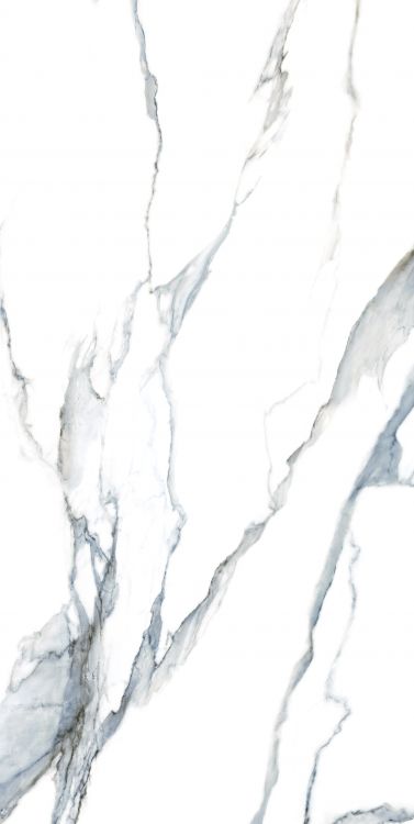 Calacatta Fantasy Acqua Polished 24 x 48