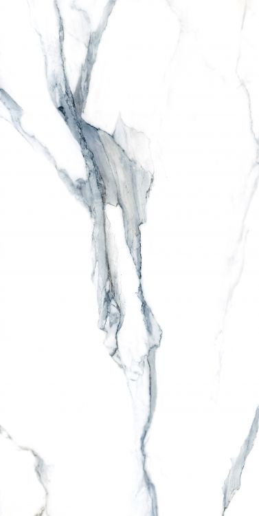 Calacatta Fantasy Acqua Polished 24 x 48