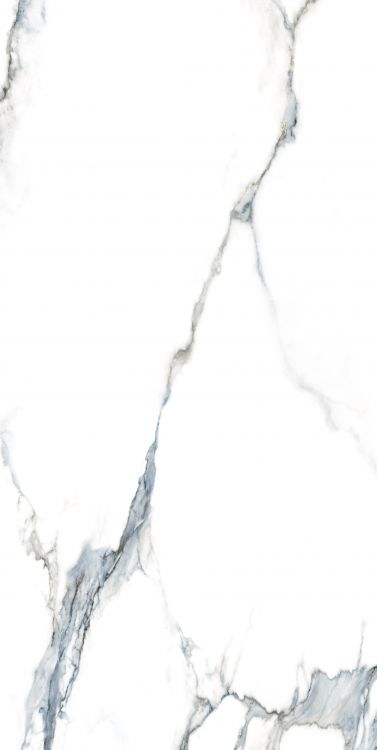 Calacatta Fantasy Acqua Polished 24 x 48
