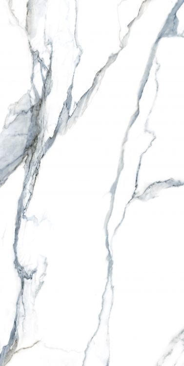 Calacatta Fantasy Acqua Polished 24 x 48