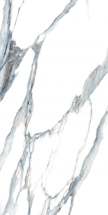 Calacatta Fantasy Acqua Polished 24 x 48