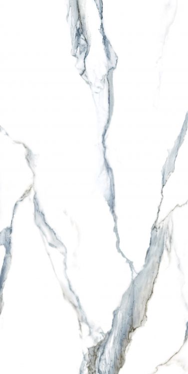 Calacatta Fantasy Acqua Polished 24 x 48