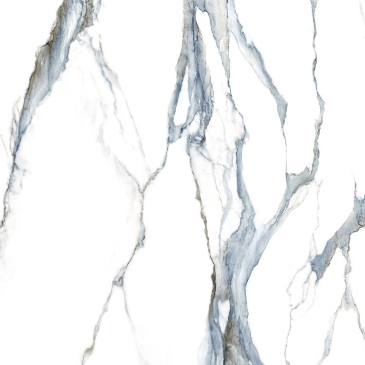 Calacatta Fantasy Acqua Polished 48 x 48