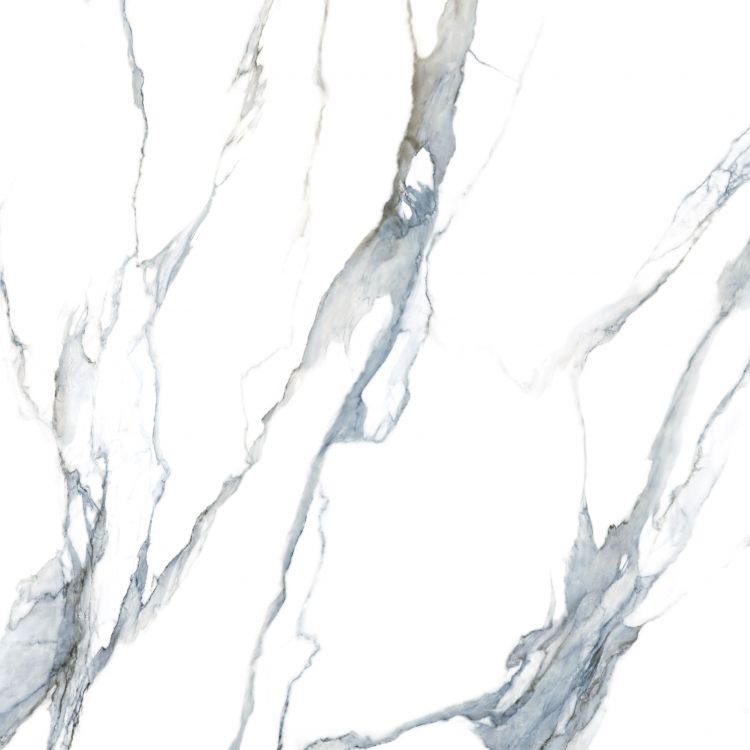 Calacatta Fantasy Acqua Polished 48 x 48