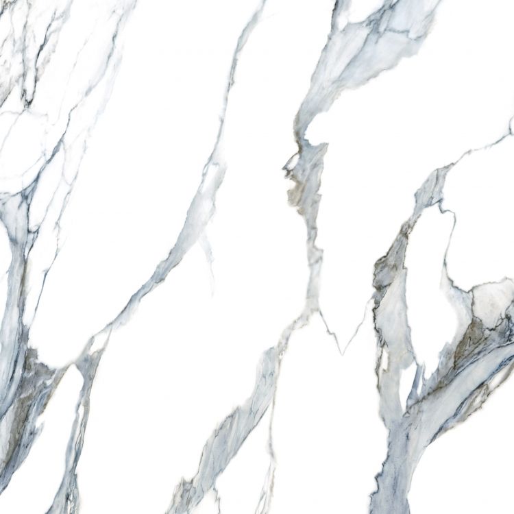 Calacatta Fantasy Acqua Polished 48 x 48