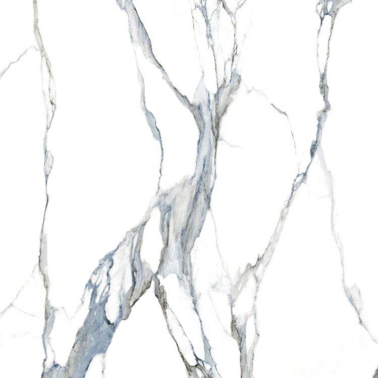 Calacatta Fantasy Acqua Polished 48 x 48