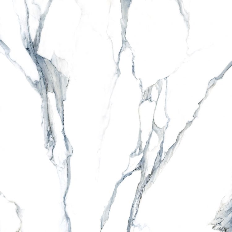 Calacatta Fantasy Acqua Polished 48 x 48